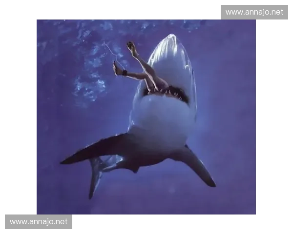 鲨鱼直播间揭秘海底世界神秘生物与惊险捕食瞬间 鲨鱼直播间揭秘海底世界神秘生物与惊险捕食瞬间